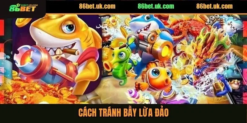 Cách tránh bẫy lừa đảo