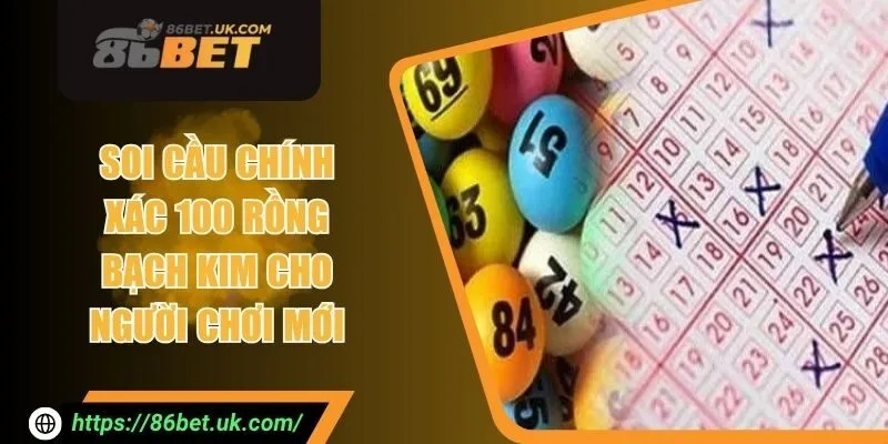 Soi Cầu Chính Xác 100 Rồng Bạch Kim Cho Người Chơi Mới 6 Soi Cầu Chính Xác 100 Rồng Bạch Kim Cho Người Chơi Mới